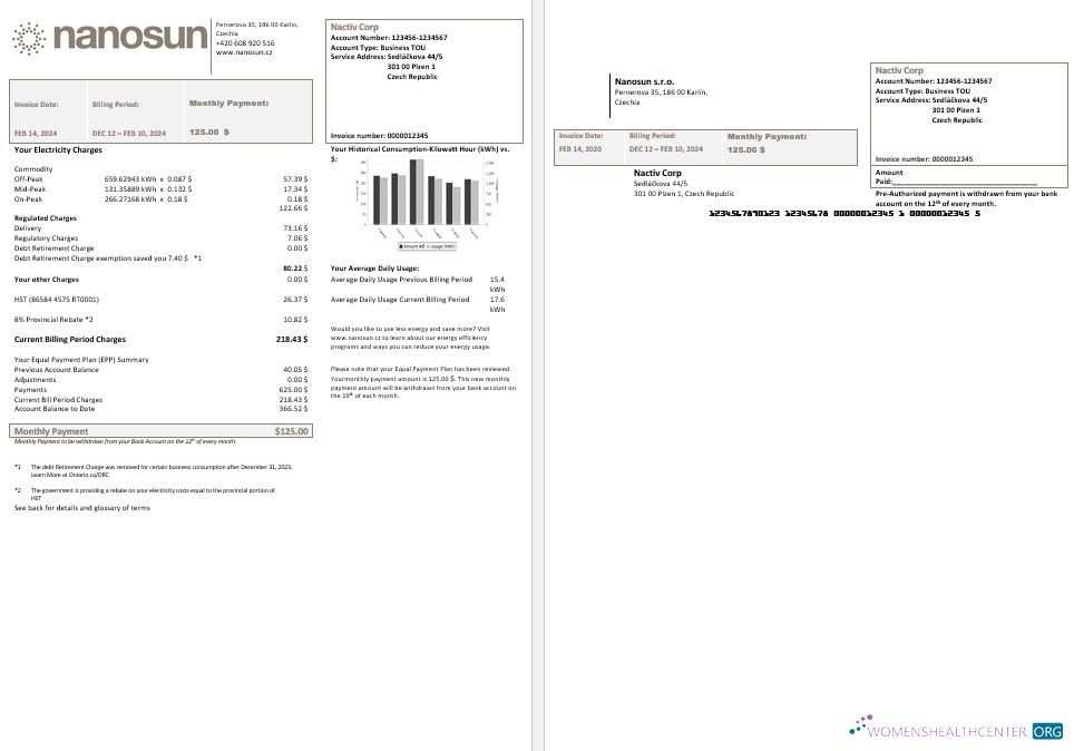 Czech Republic Nanosun sro business utility bill template in Word in pfd formats